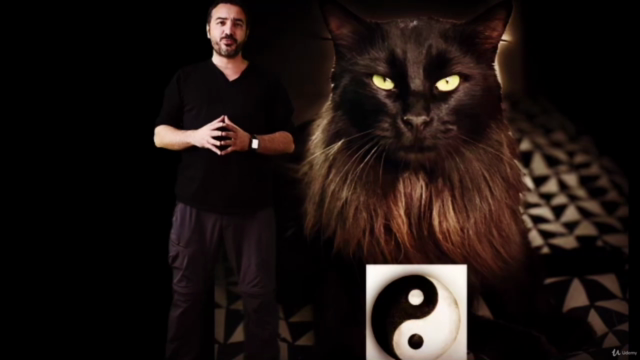 Acupuntura y masaje en gatos: Los puntos Maestros – Screenshot 1