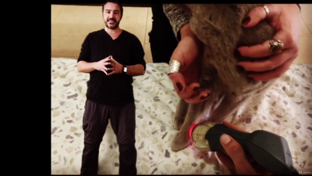 Acupuntura y masaje en gatos: Los puntos Maestros – Screenshot 3