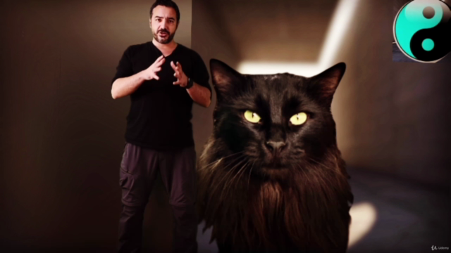 Acupuntura y masaje en gatos: Los puntos Maestros – Screenshot 4