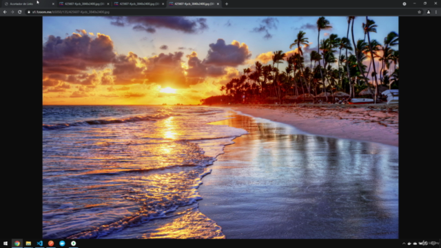 Acortador de Links con Nodejs y Mondgodb – Screenshot 4
