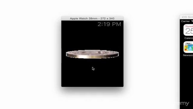 Apple Watch Development – Screenshot 3