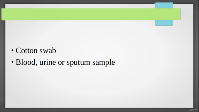 Bacteria: Staphylococcus and Streptococcus - Screenshot_04