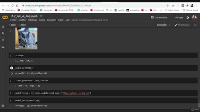 Python & Deep Learning & IA : reconnaissance d'images – Screenshot 4