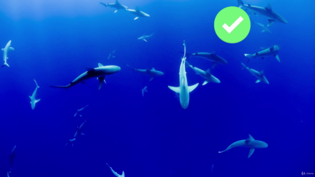 Oceanography Fundamentals – Screenshot 2
