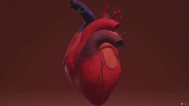 Aprende la Anatomía y función del Sistema Cardiovascular – Screenshot 1