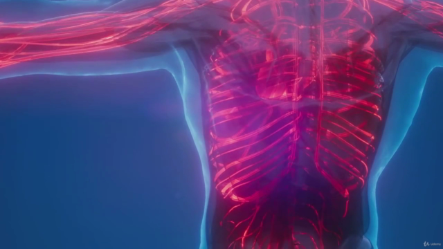 Aprende la Anatomía y función del Sistema Cardiovascular – Screenshot 3