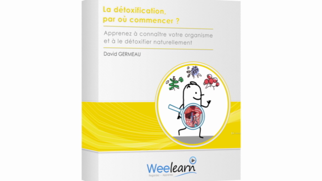La détoxification, par où commencer ? – Screenshot 4