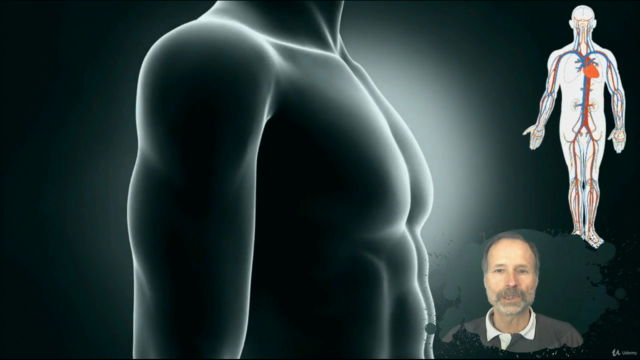 Naturopathie cours n° 8 - Le système cardiovasculaire – Screenshot 1