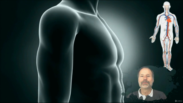 Naturopathie cours n° 8 - Le système cardiovasculaire – Screenshot 2