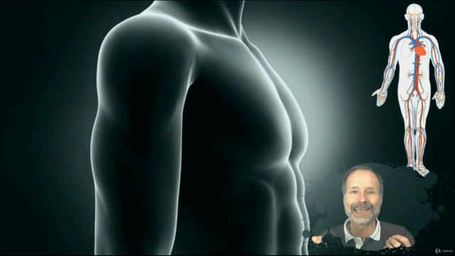 Naturopathie cours n° 8 - Le système cardiovasculaire – Screenshot 4