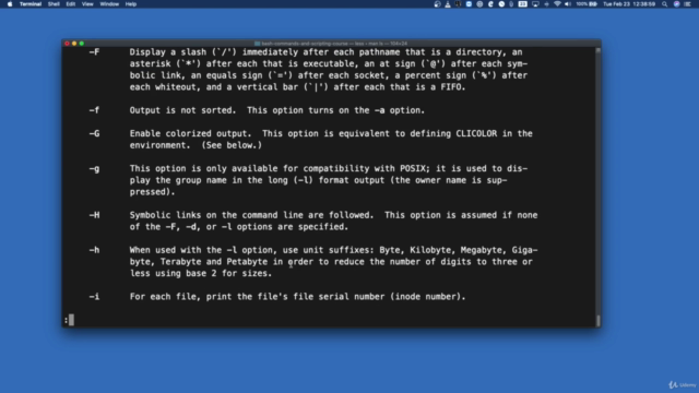 Bash Commands and Scripting - from Beginner to Expert – Screenshot 2