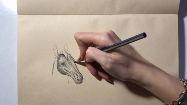Animal Drawing - Draw and Sketch Animal with Pencil – Screenshot 2