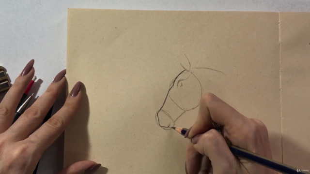 Animal Drawing - Draw and Sketch Animal with Pencil – Screenshot 4