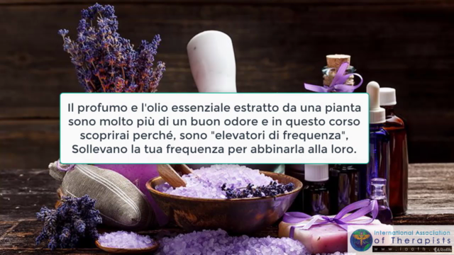 Aromaterapia - Diploma livello 1 – Screenshot 2