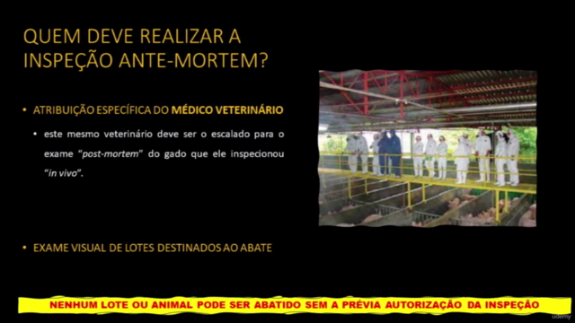 Inspeção ante-mortem e post-mortem de suínos – Screenshot 1