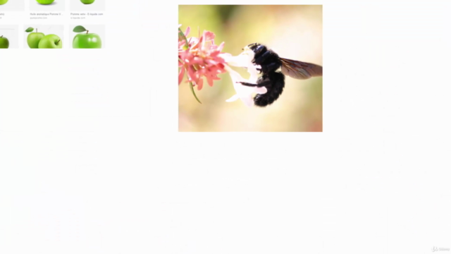 PowerPoint de A à Z : passez enfin à la vitesse supérieure ! – Screenshot 2