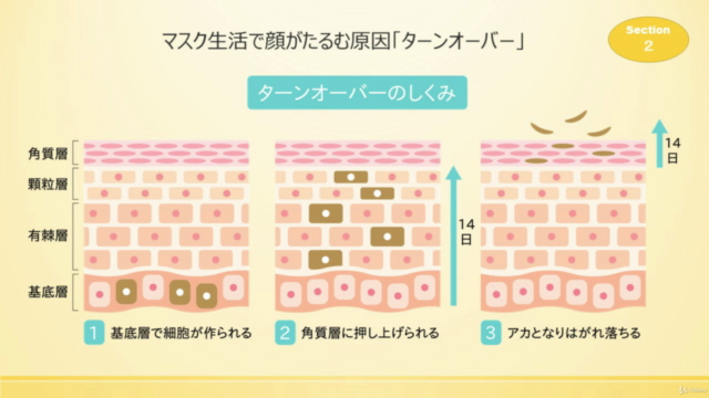 スキマ時間に顔下半分リフトアップ!マスク生活による【たるみケア講座 】ー小顔講座特別編ー – Screenshot 1