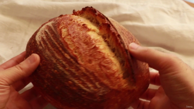 Sourdough Bread Baking Masterclass – Screenshot 1