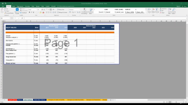 Excel'de Finansal Modelleme ve Proforma Finansal Tablolar – Screenshot 2