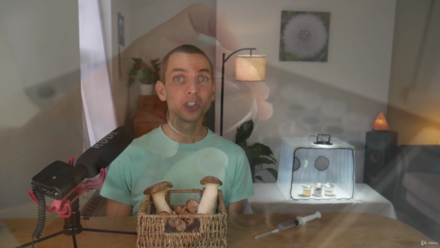 The Home Mushroom Laboratory – Screenshot 1