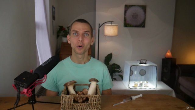 The Home Mushroom Laboratory – Screenshot 4