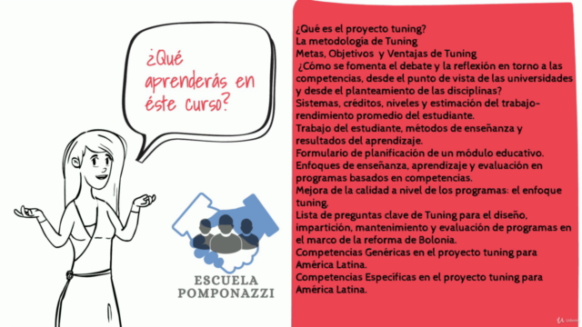 Las Competencias en el marco del Proyecto Tuning – Screenshot 2