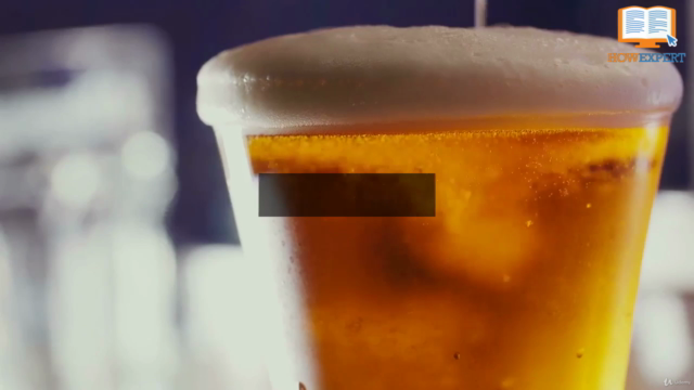 HowExpert Guide to Craft Beer – Screenshot 1
