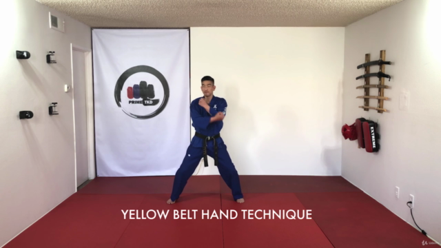 Taekwondo Yellow Belt Course – Screenshot 1