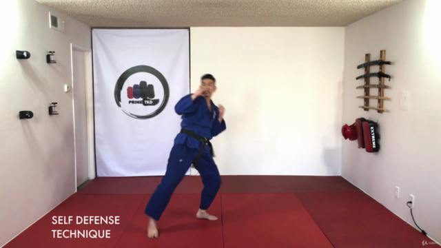 Taekwondo Yellow Belt Course – Screenshot 2
