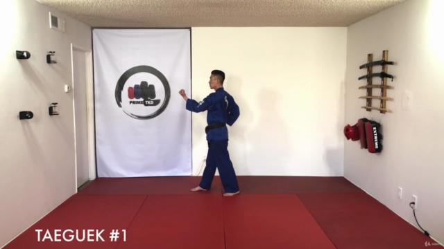 Taekwondo Yellow Belt Course – Screenshot 3