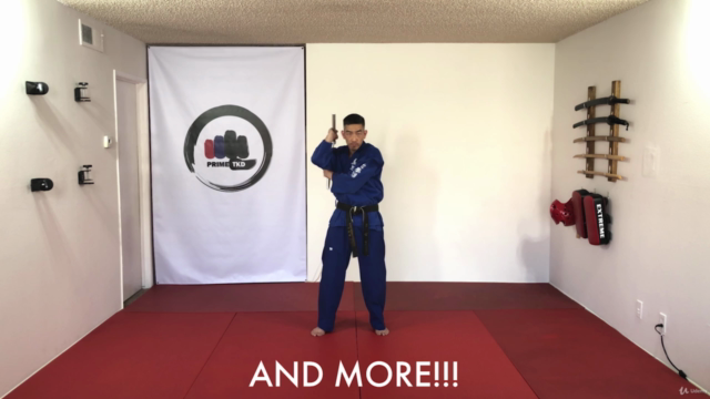 Taekwondo Yellow Belt Course – Screenshot 4