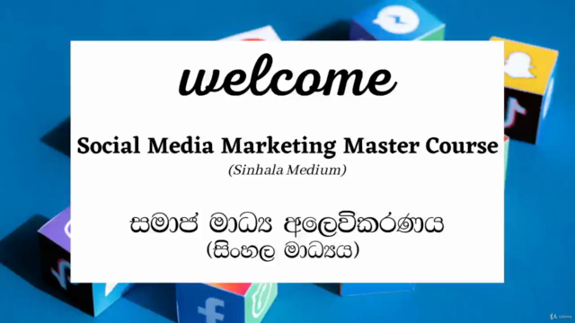 Social Media Marketing Master course (Sinhala Medium) – Screenshot 4
