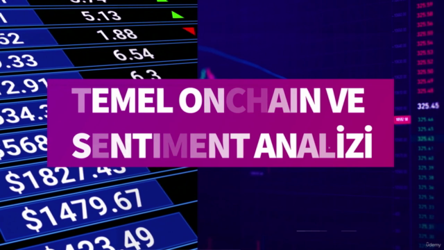 Kripto Paralar Temel Onchain ve Sentiment Analizi – Screenshot 1