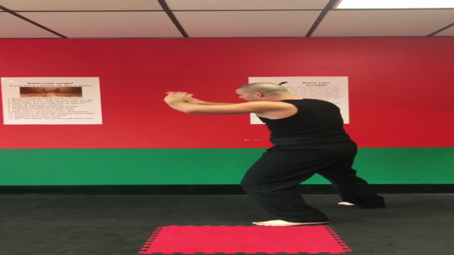 Functional open-hand martial arts and calisthenics fitness – Screenshot 1