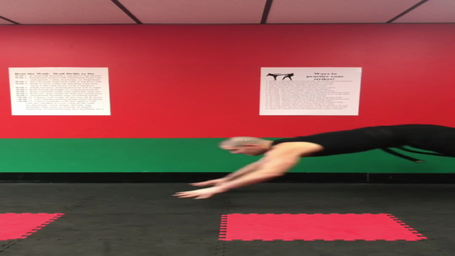 Functional open-hand martial arts and calisthenics fitness – Screenshot 3