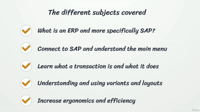 SAP ERP Basics: A Comprehensive Guide for Beginners – Screenshot 1