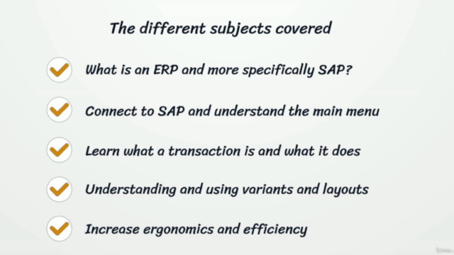 SAP ERP Basics: A Comprehensive Guide for Beginners – Screenshot 2