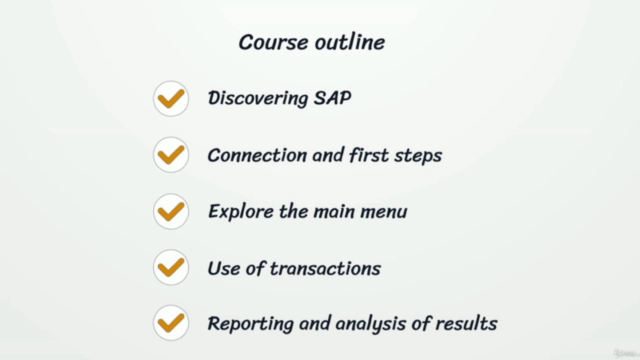 SAP ERP Basics: A Comprehensive Guide for Beginners – Screenshot 3
