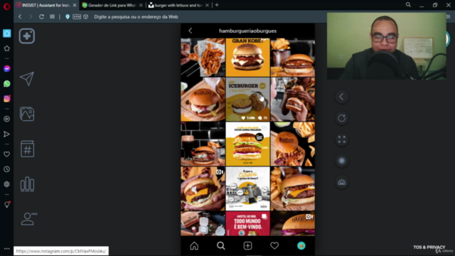 Instagram de Sucesso - O Curso – Screenshot 1