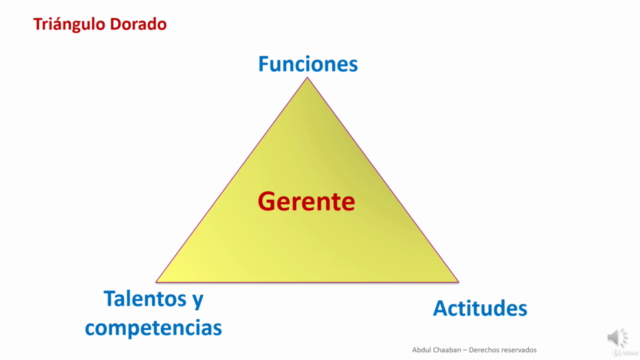 Fundamentos de Gerencia: Ruta hacia el Liderazgo – Screenshot 4