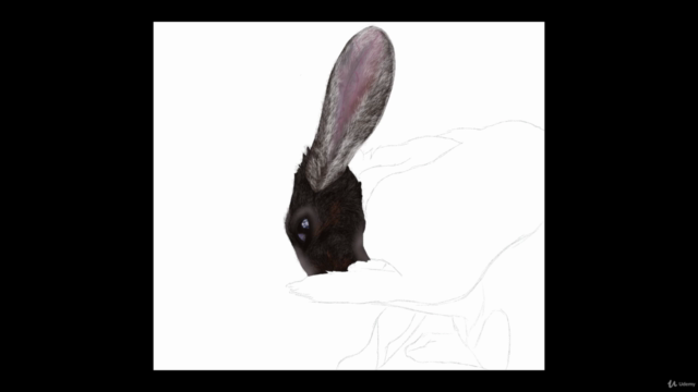 Procreate Tutorial, a realistic hare  (digital ipad drawing) - Screenshot_02
