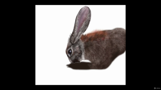 Procreate Tutorial, a realistic hare  (digital ipad drawing) - Screenshot_03