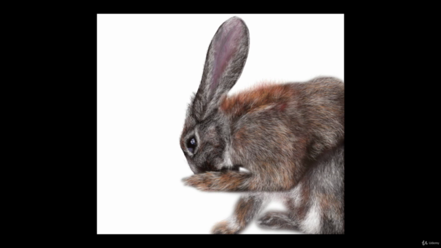 Procreate Tutorial, a realistic hare  (digital ipad drawing) - Screenshot_04