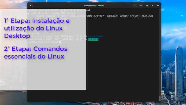 Linux TOTAL: dos primeiros passos aos comandos avançados – Screenshot 4