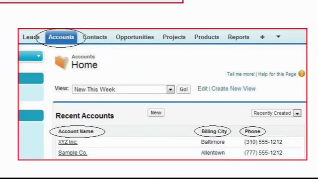 Salesforce Step-by-Step System Administrator Training – Screenshot 3