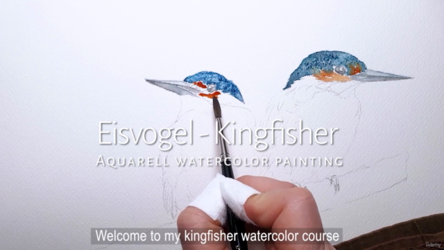 Eisvogel Aquarell Kurs - Kingfisher Watercolor Course – Screenshot 1