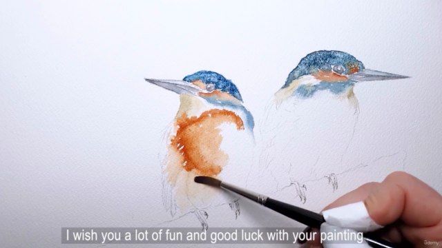 Eisvogel Aquarell Kurs - Kingfisher Watercolor Course – Screenshot 4