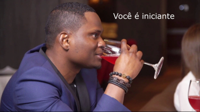 O Guia Rápido do Mundo do Vinho – Screenshot 1