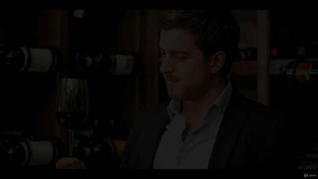 O Guia Rápido do Mundo do Vinho – Screenshot 2