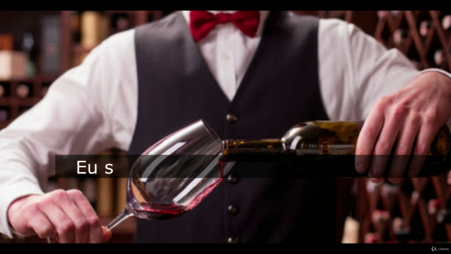 O Guia Rápido do Mundo do Vinho – Screenshot 3